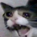 aaaaaa