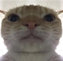 hi Discord emoji