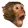 Pogchimp Pogchimp Discord Emoji