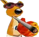 JestKozak JestKozak