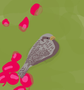 radishbird Discord emoji