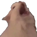 thurstonScream thurstonScream