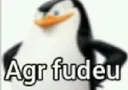 pingufudeu
