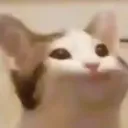 nomf