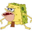 SpongeCave