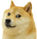 doge~1 Discord Emoji