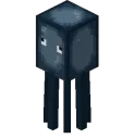 Squid Squid
