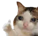 asulike