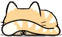 Catpeek Catpeek