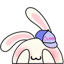 bunno_hide