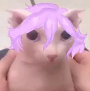 bingus