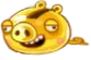 DerpGoldenPig