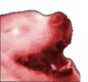 doggy_haha