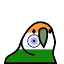 AUIIndiaParrot