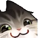 Smug Cat smugcat Discord Emoji