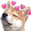 dog_love Discord emoji