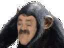 singemegaevo