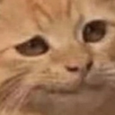ch_rlly Discord emoji