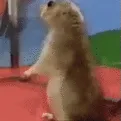 uwotm9