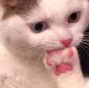 hmmm
