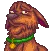 DissapointBoi