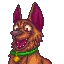 ExciteBoi