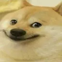cringedoge Discord Emoji