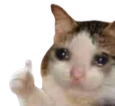 thumbsupcat