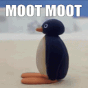 MOOTMOOT