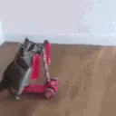 gottagojess