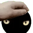 MekoPat MekoPat