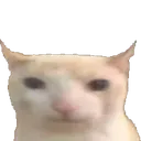 hnh