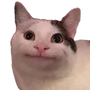 kittybruh