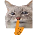 shushest shushest
