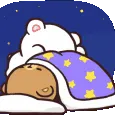zrmmsleep