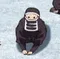 KakushiBow