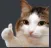 AT_CatAgree Discord Emoji