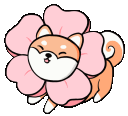 tlamShibaFlower Discord emoji