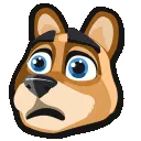 confused