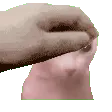 binguspet