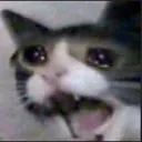 cri