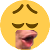 pensivepog Discord emoji