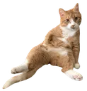 sassymow
