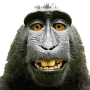monke2