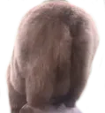 BAERBUTT