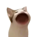 a_ a_