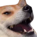 MU_Kek
