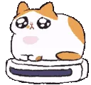 tlKittySpin