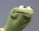 383_kermitdafrogconfusion