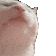 Catjam